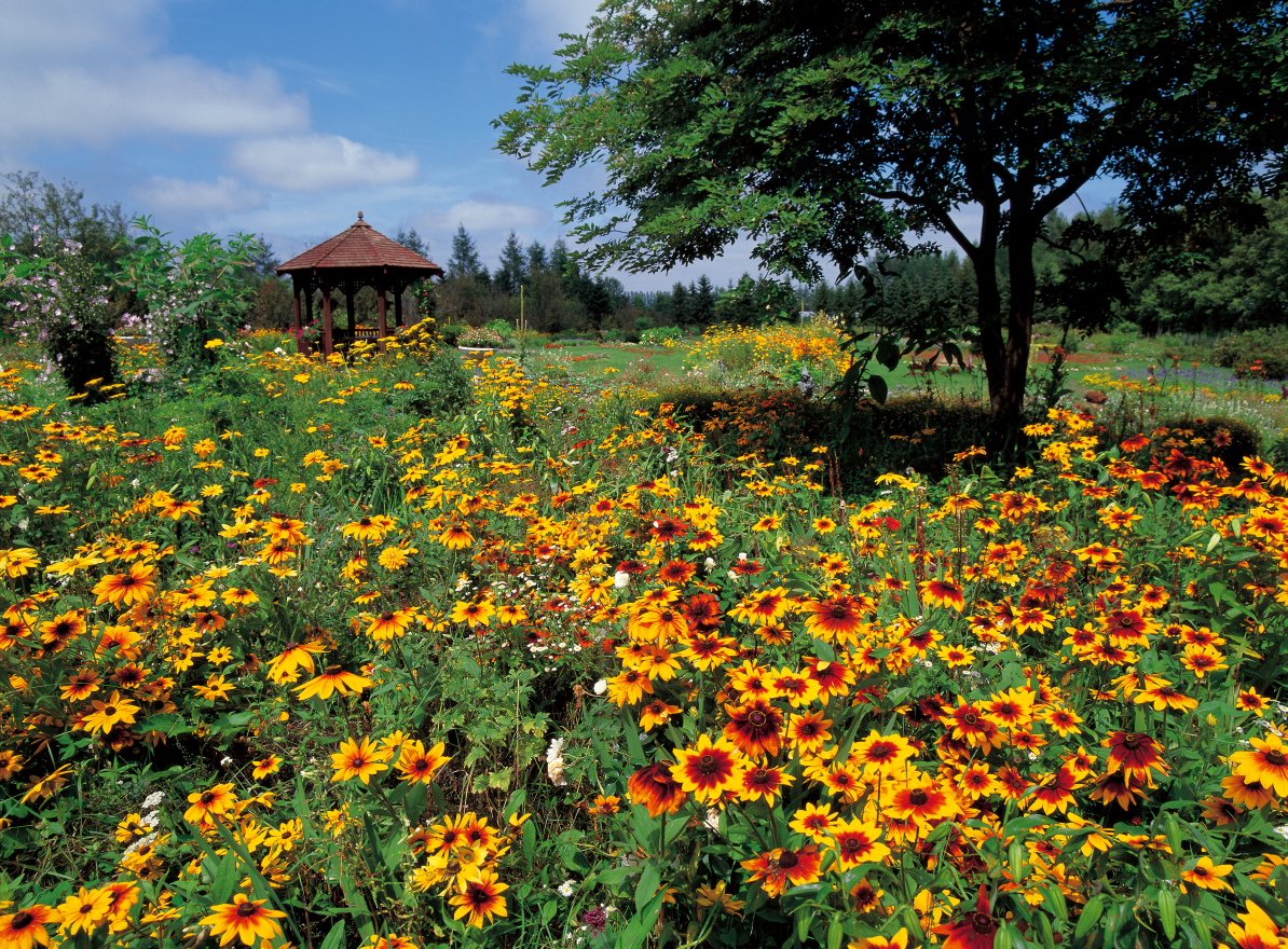 🌸 시치쿠 가든 이미지 8
